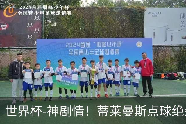 世界杯-神剧情！蒂莱曼斯点球绝杀 比利时加时3-2塞内加尔