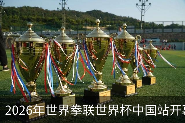 2026年世界拳联世界杯中国站开幕 赛事首次落户中国